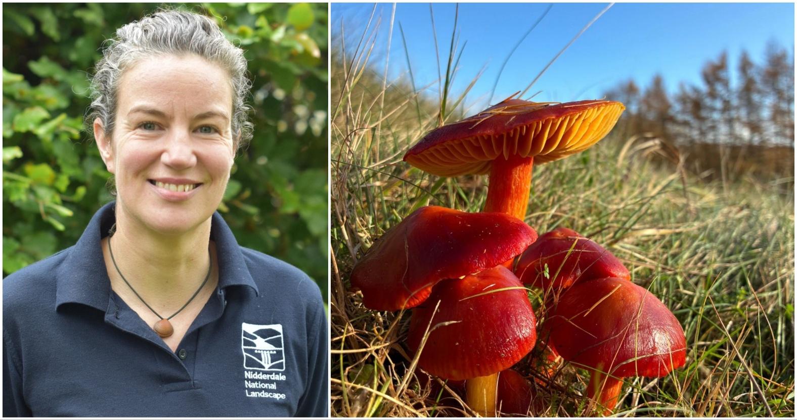 mixcollage-20-jan-2026-11-09-am-589