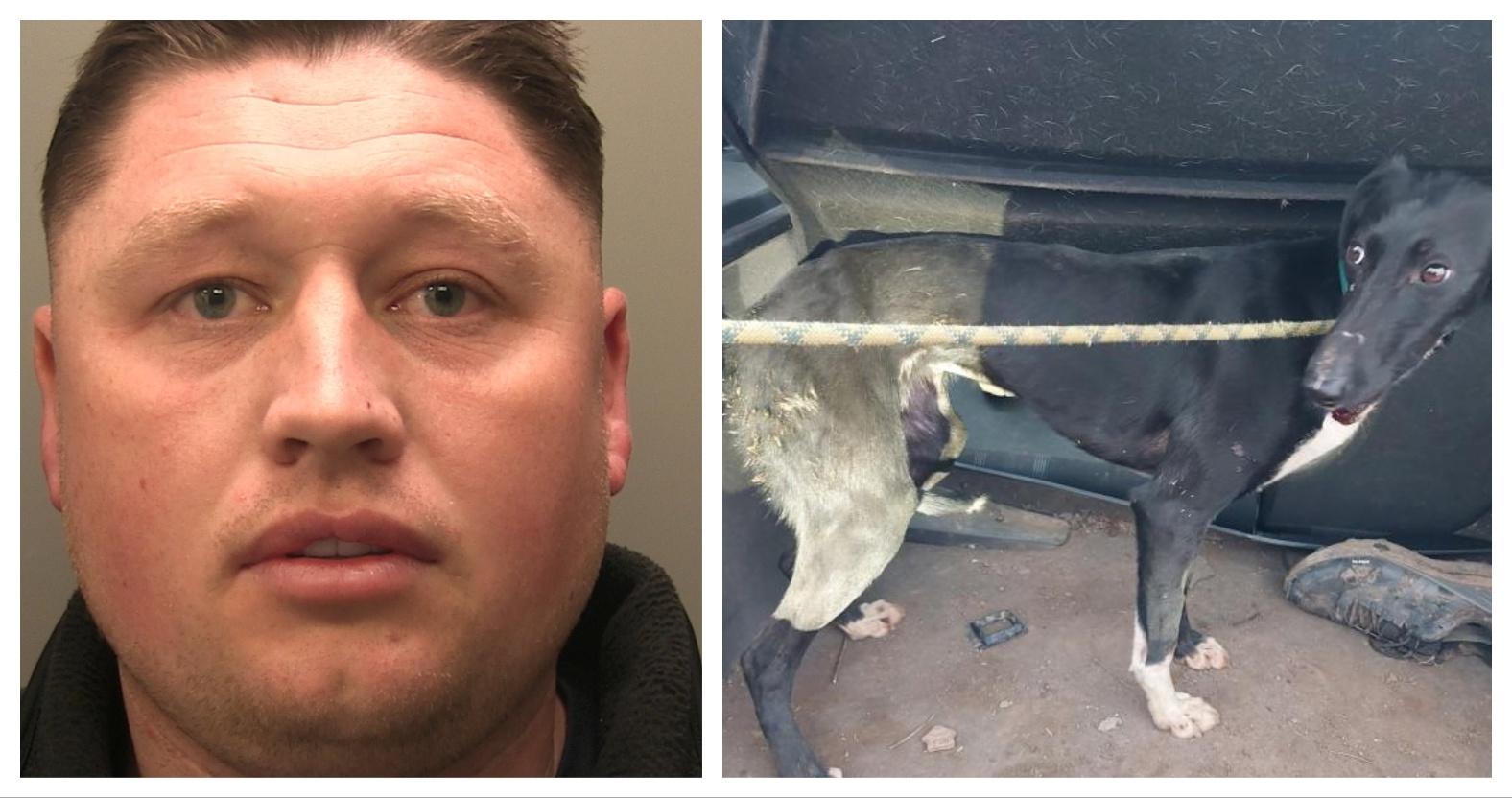 mixcollage-27-jan-2026-08-22-pm-2108