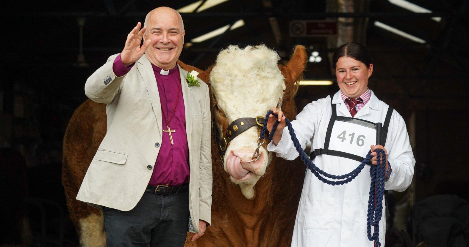 the-archbishop-of-york-stephen-cottrell-during-a-visit-to-the-great-yorkshire-show-in-2024-blessing-a-simmental-fircovert-nigel-with-its-handler-holly-lutkin