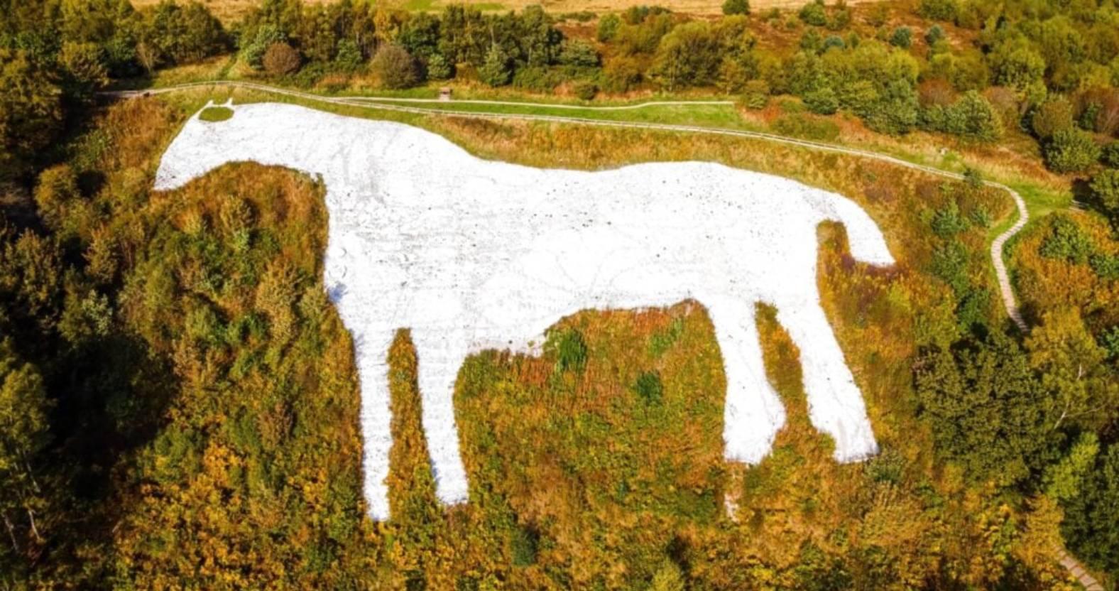 kilburnwhitehorse-closeup