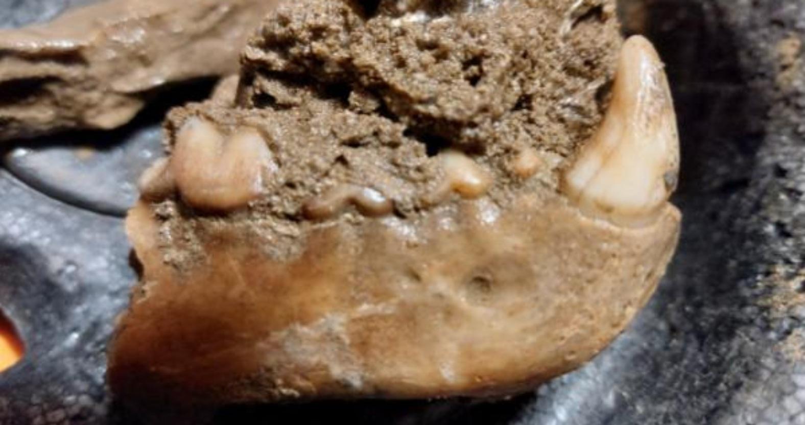 screenshot-2026-02-19-161540