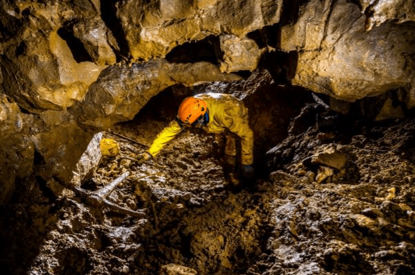 screenshot-2026-02-19-161557