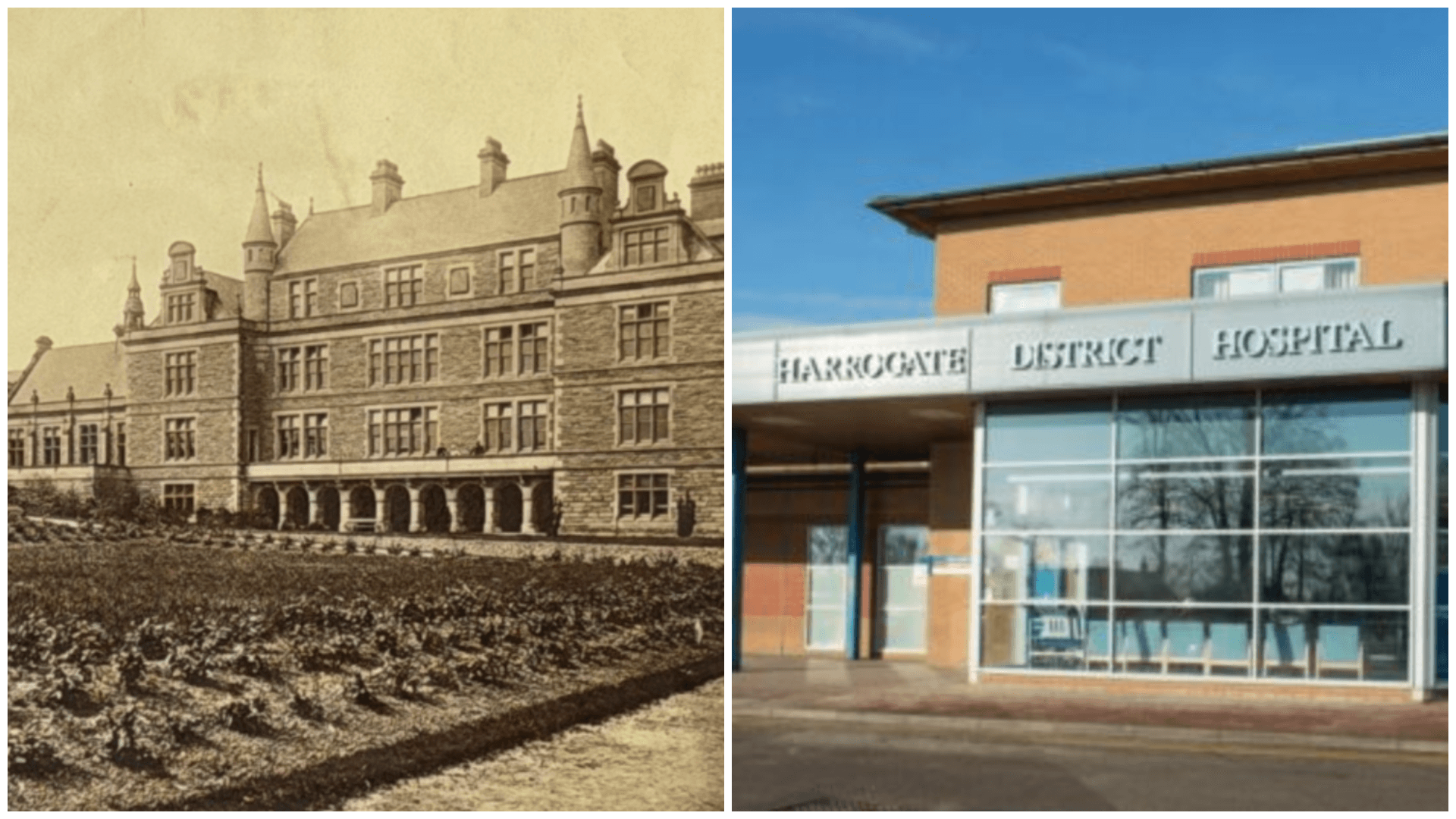 photo-collage-png-8-2