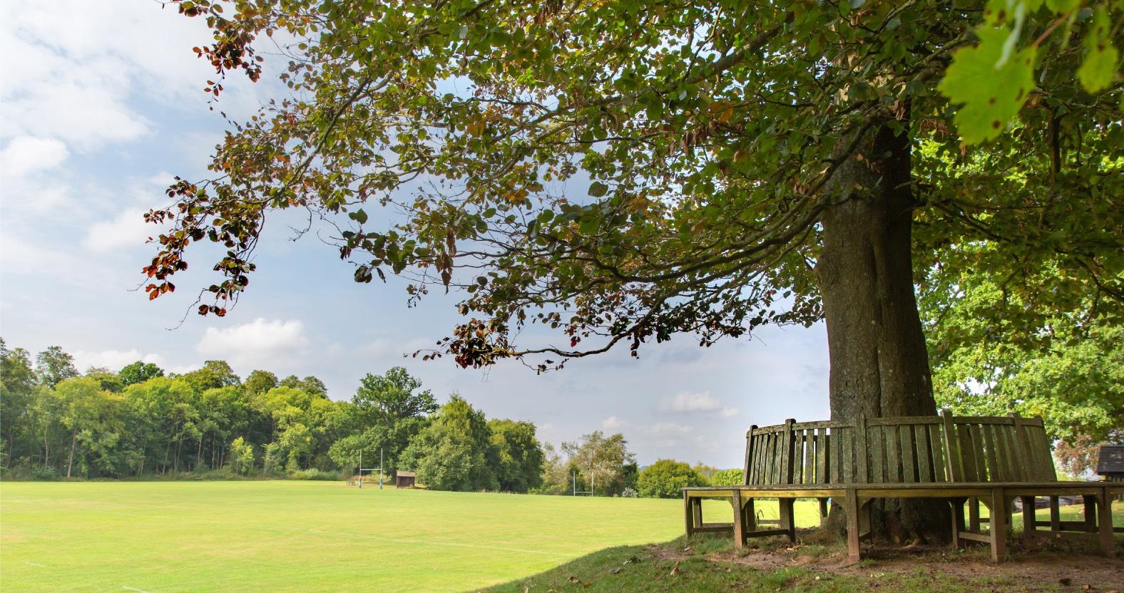 web-sports-field-1-westerfield-college