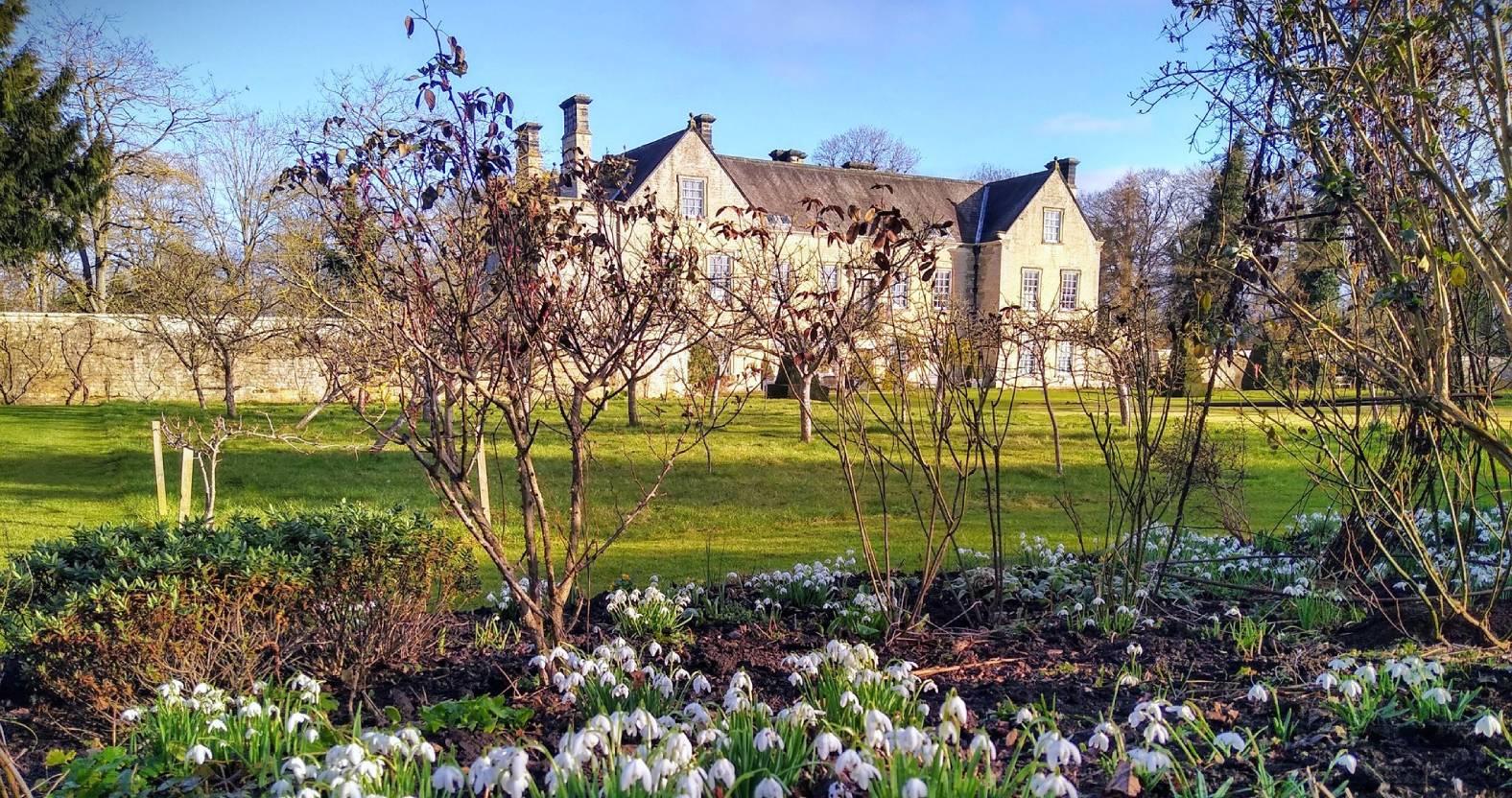 websnowdrops-at-nunnington-hall-c-nationaltrust_-andrew-davies