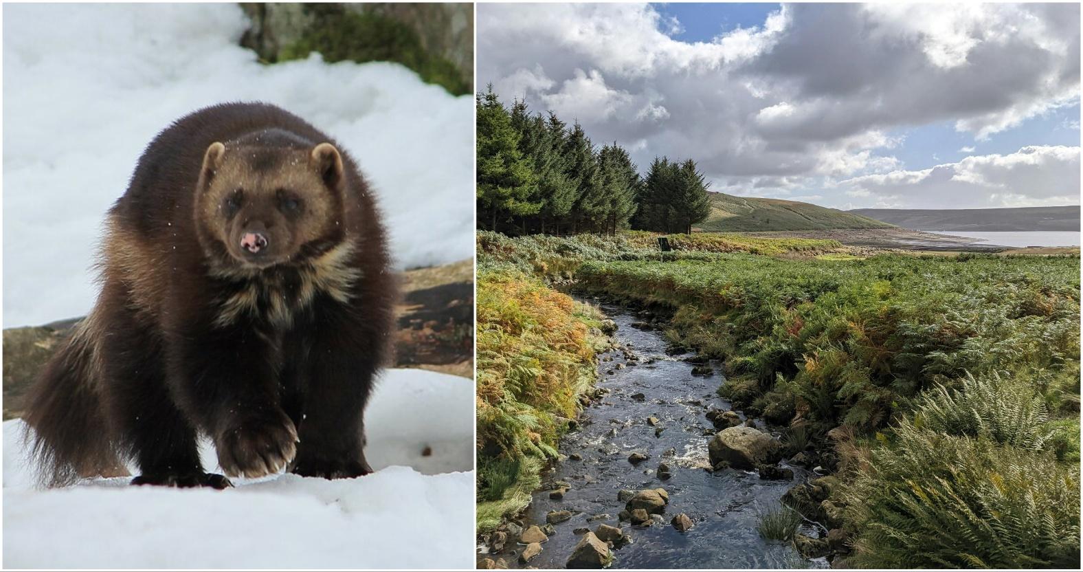 mixcollage-13-mar-2026-11-36-am-2395