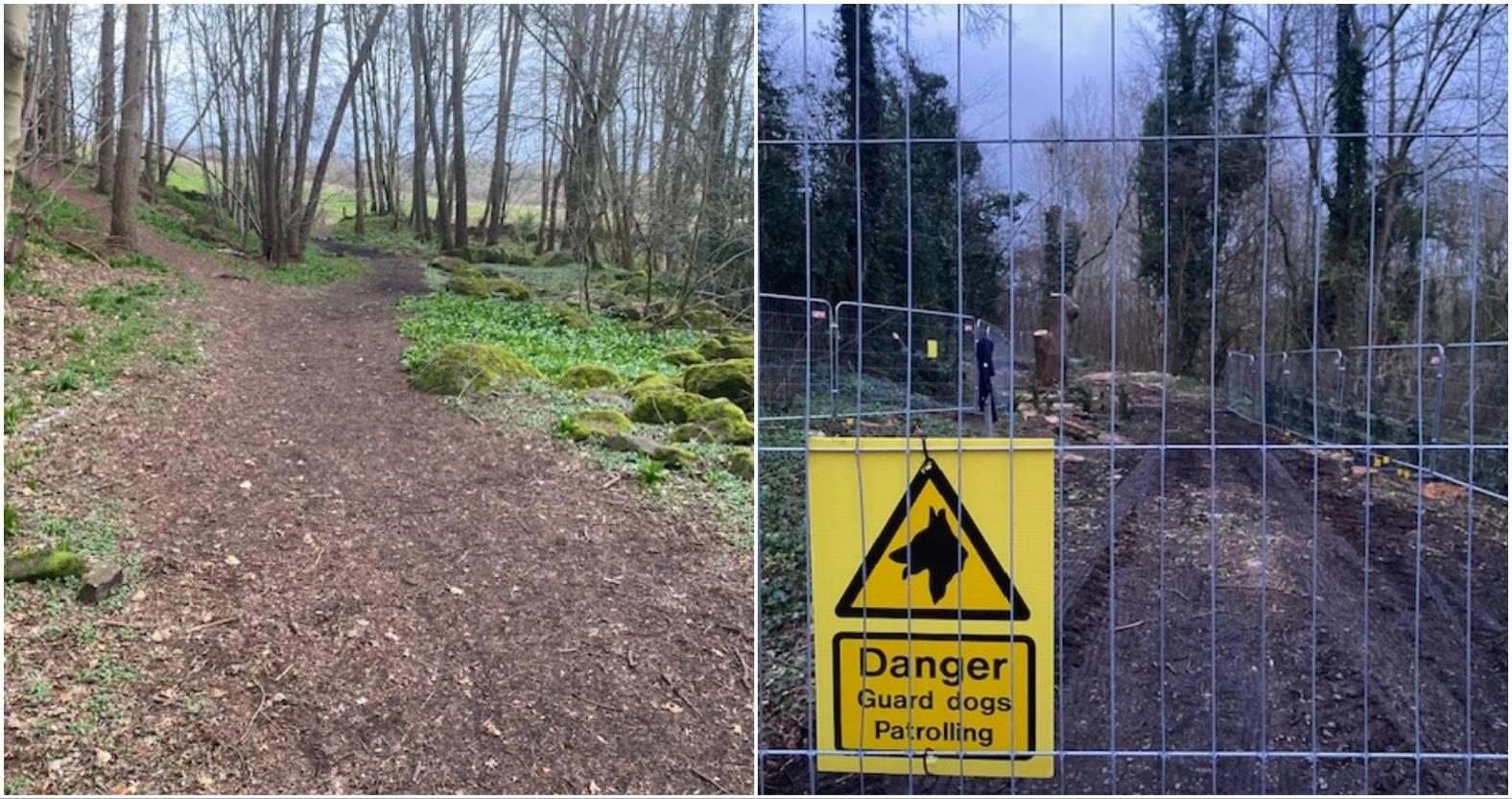 sandybankwood-beforeafter