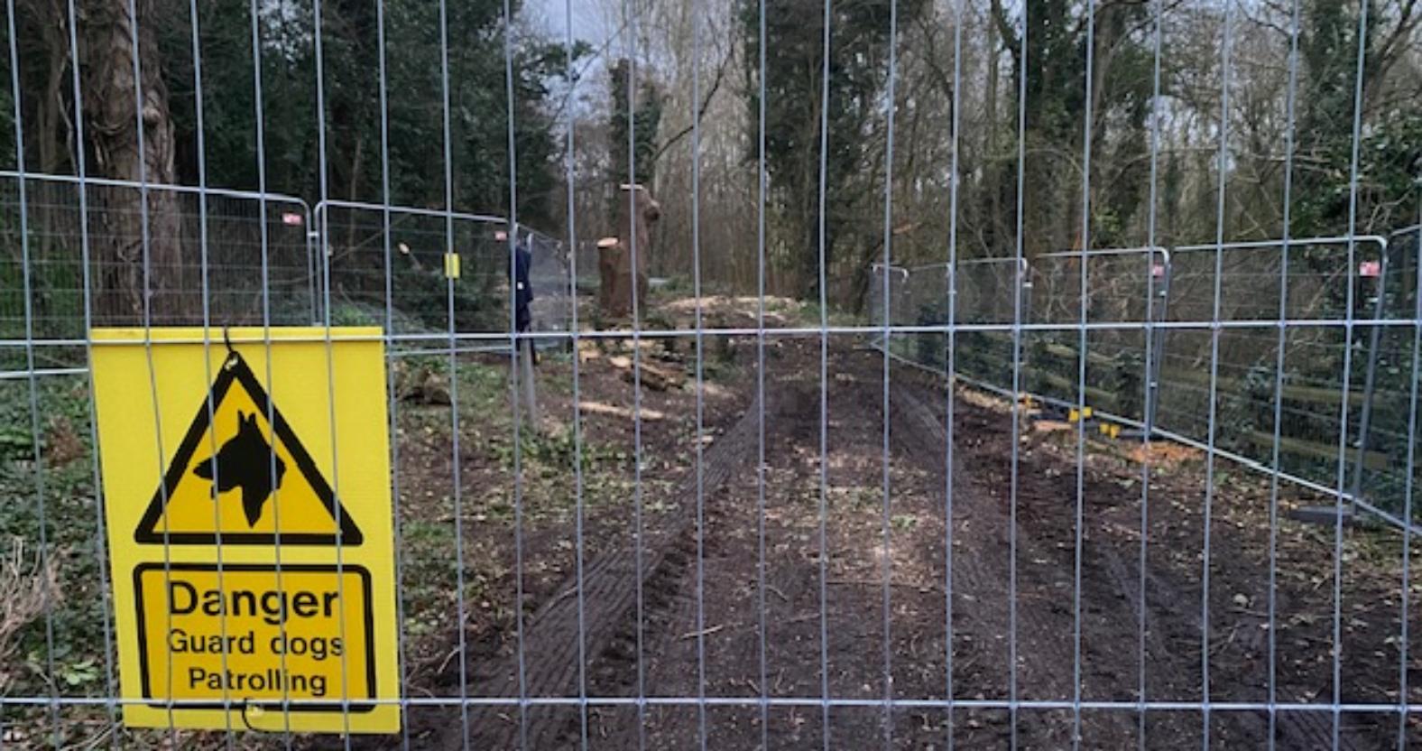 sandybankwood-workstarted