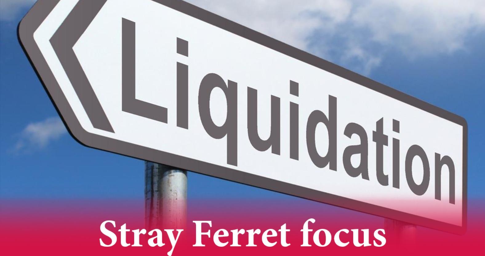 strayferretfocus-liquidation