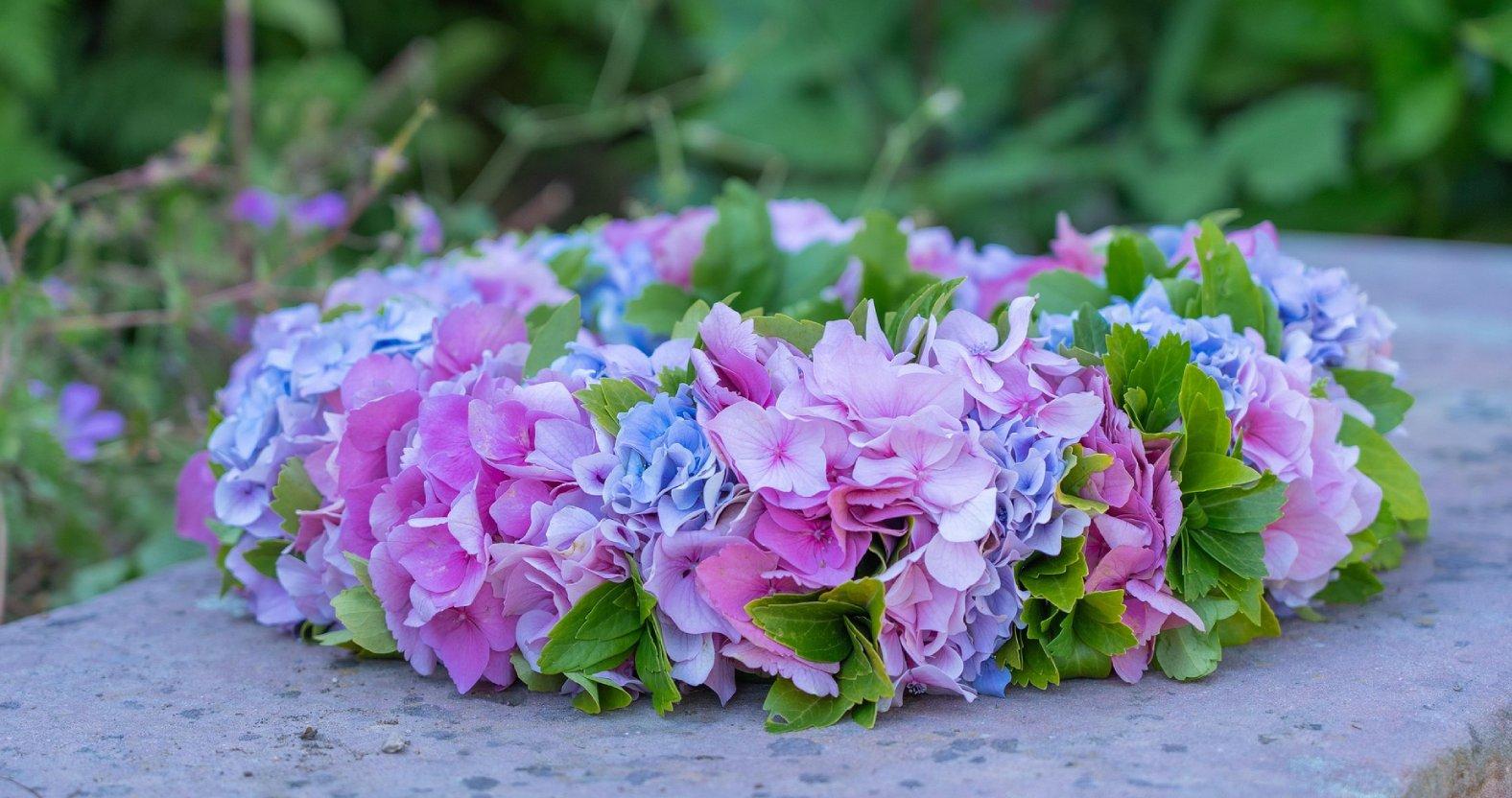 chiemseherin-flower-6331866_1920