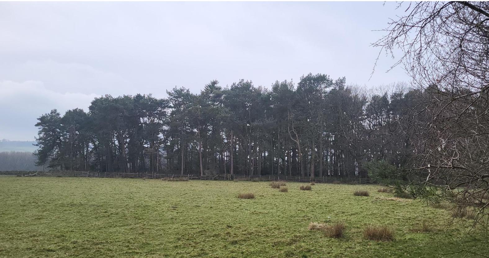 25_03714_fulmaj-photo-13001224