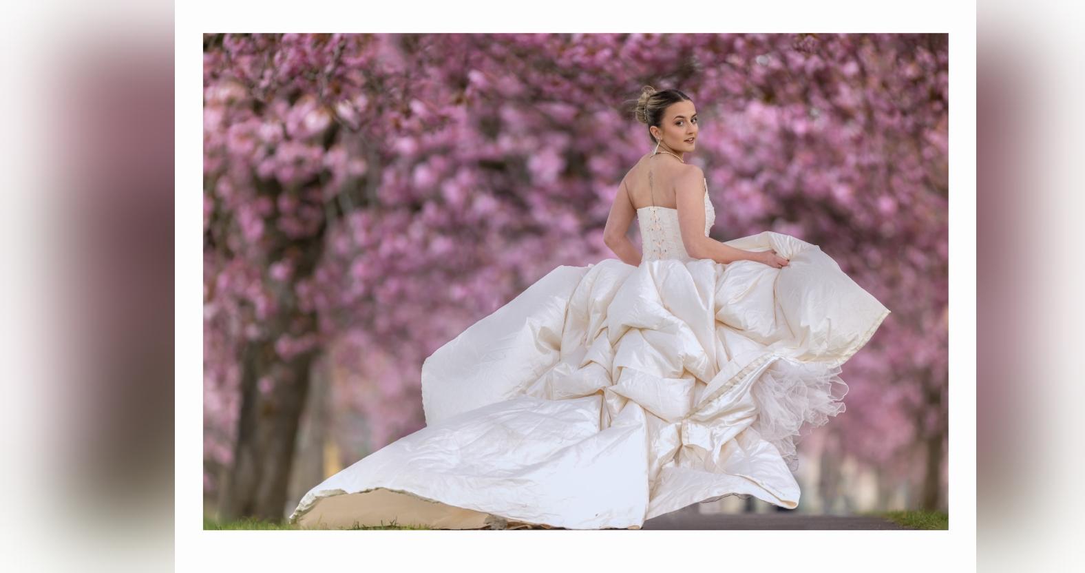 dsc_4623-edit-edit-edit-edit-1