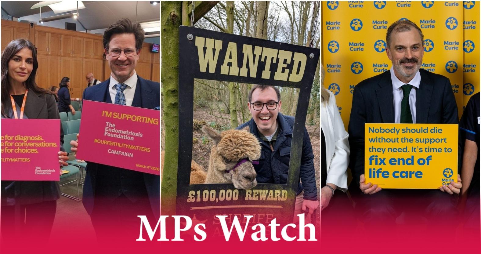 mixcollage-01-apr-2026-03-54-pm-9950-1