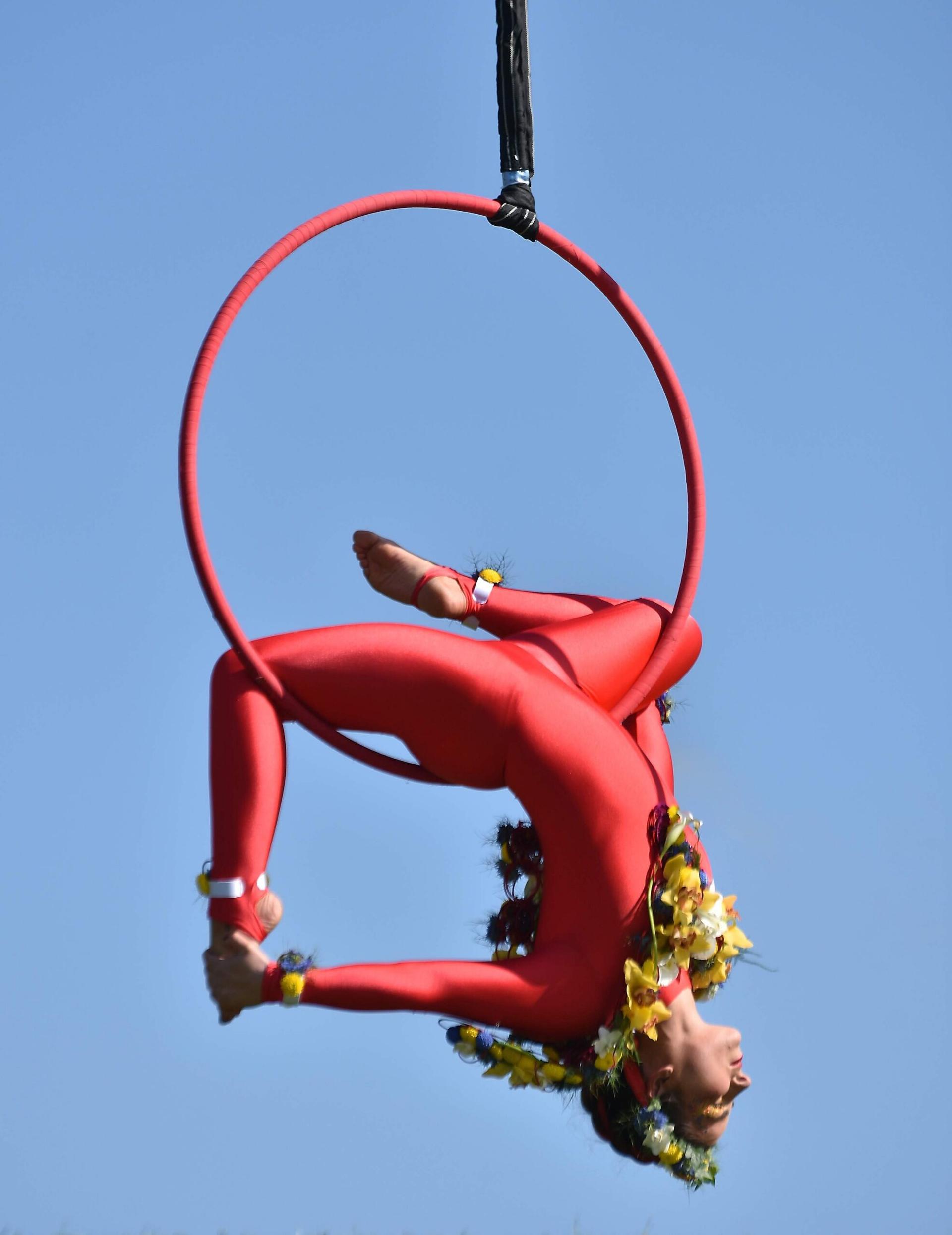 springflowershow-2026-circus-long