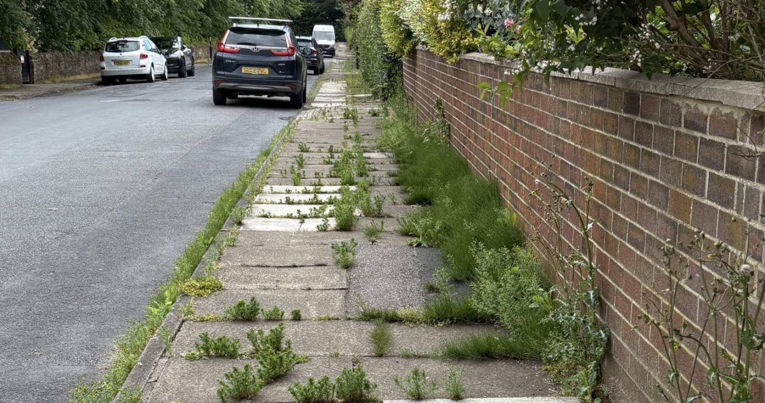 harrogate-pavements-weeds-edit