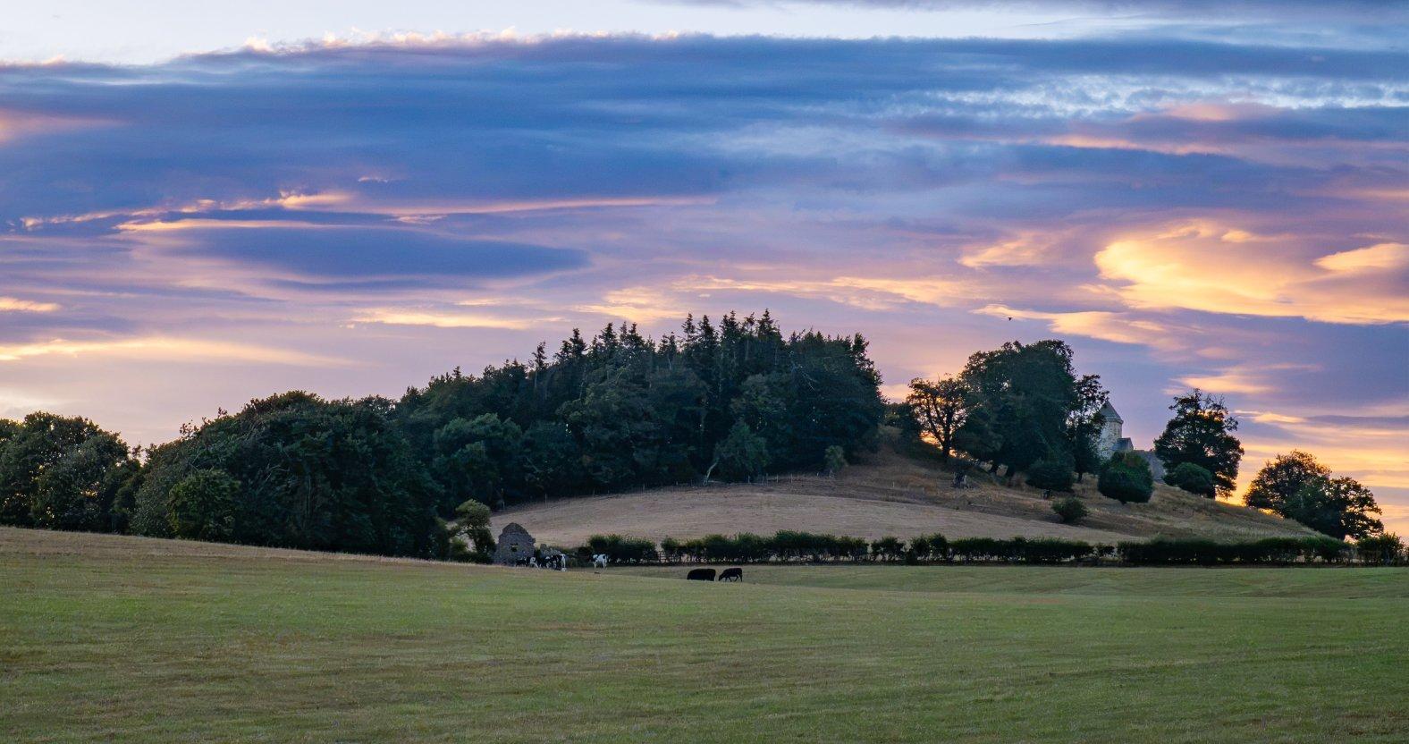 michellebray-howhill