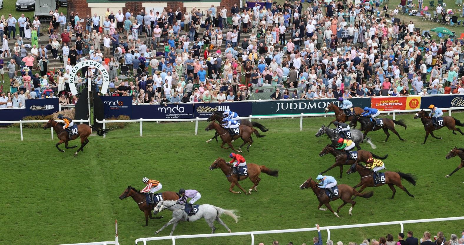 william-hillmnd-association-great-st-wilfrid-handicap-2025-2