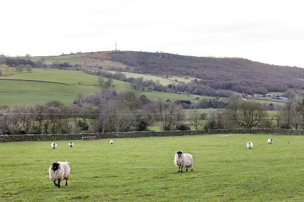 Rural image within North Yorkshire
