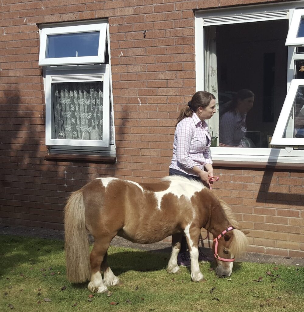 A volunteer from HELP takes their pony to meet an isolating couple to cheer them up.