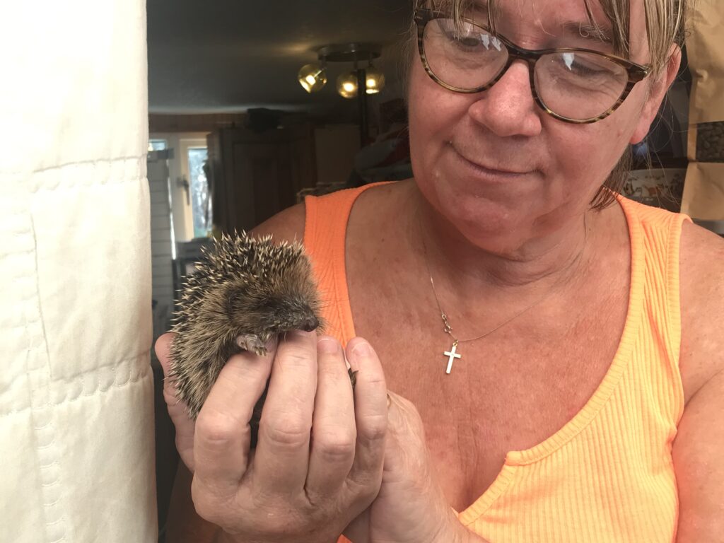 Photograph of Jacqui Morrell holding a hoglet