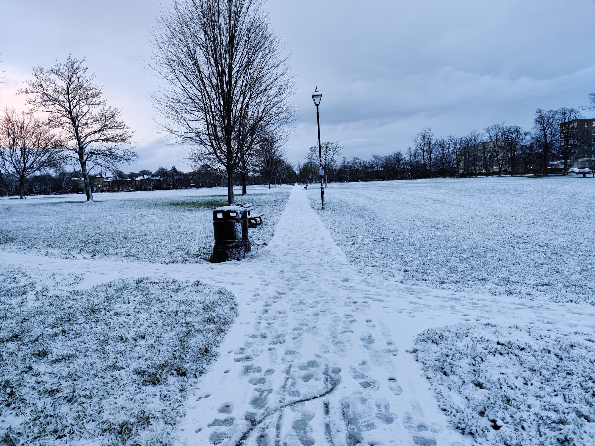 Snow covering the West Park Stray earlier this morning.