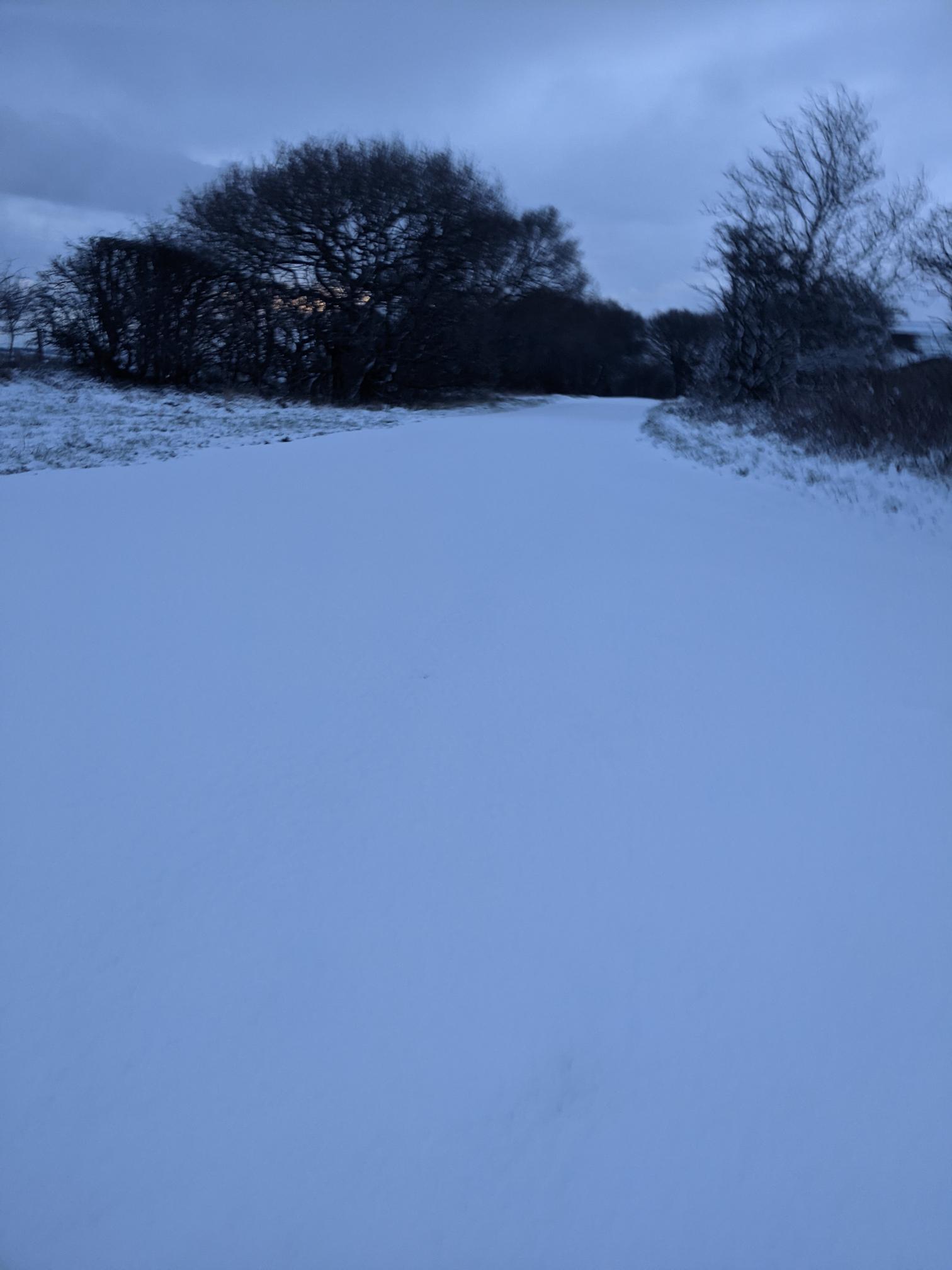 Snow pictured near Beckwithshaw.