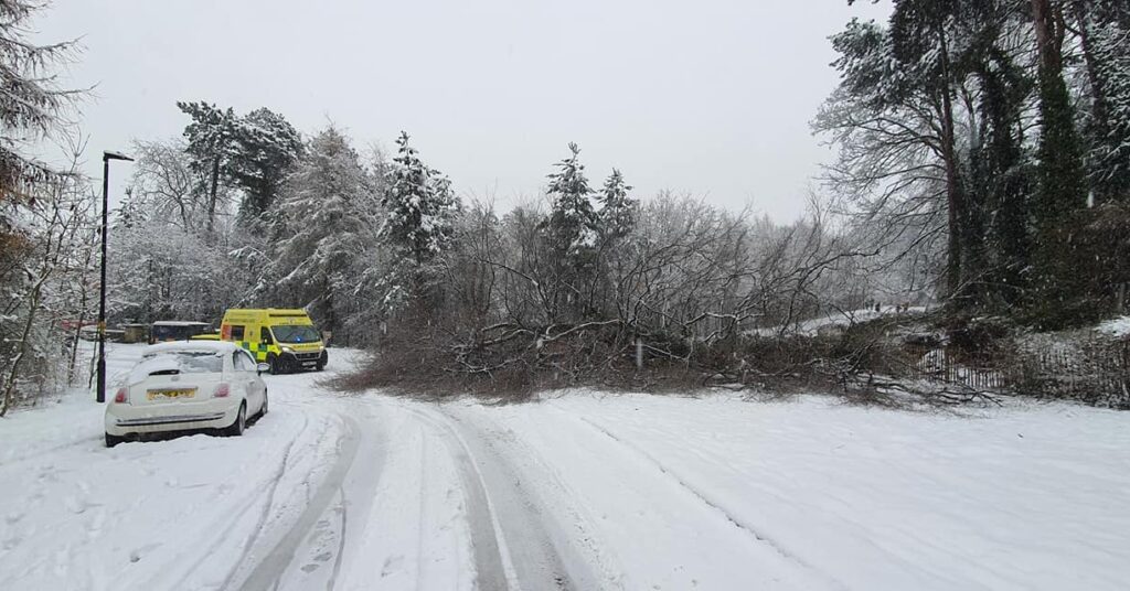 Yorkshire Ambulance Service arrived quickly after the tree fell on a couple in Ripon. Photo: Nicole Bond