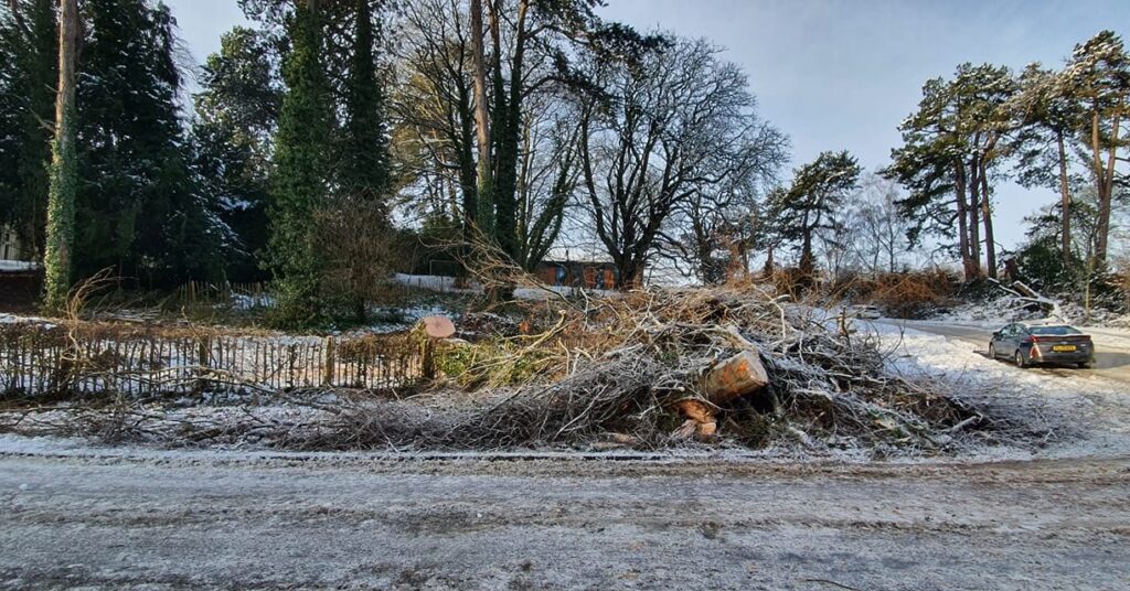 The fallen tree in Ripon has already been broken up and made safe. Photo: Nicole Bond