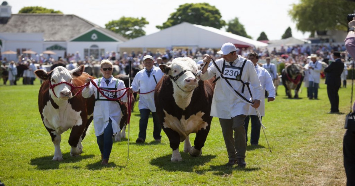 Harrogate’s Great Yorkshire Show to remain four-day event