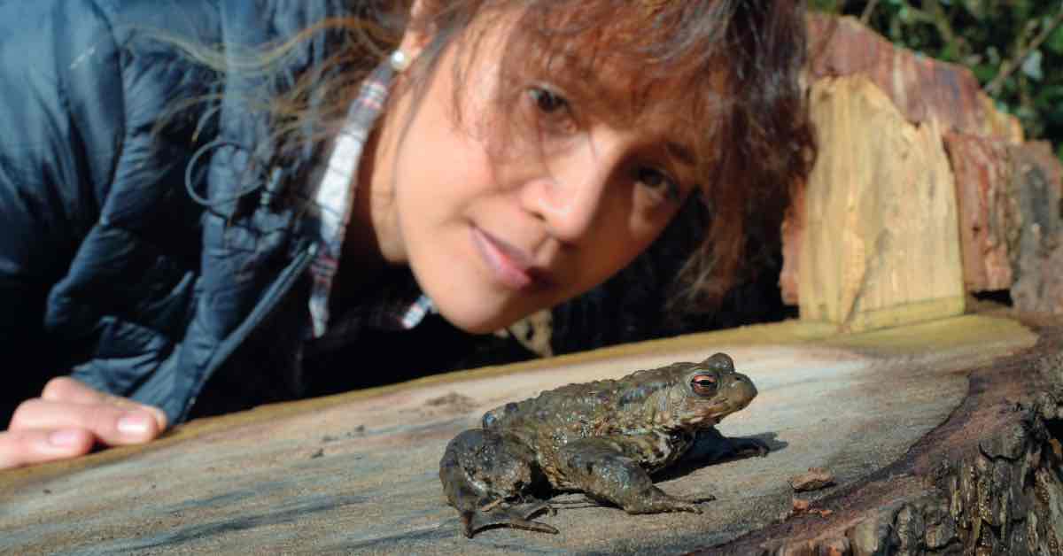 A woman looks at a toad