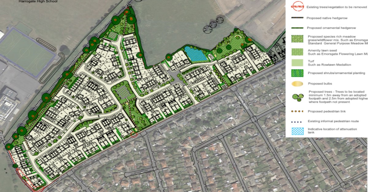 The proposed layout of the homes on Kingsley Drive as submitted by developer Persimmon Homes.