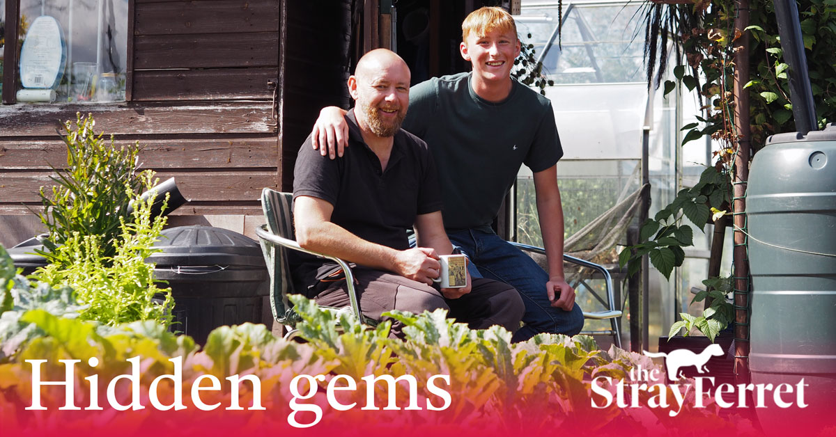 Bilton father and son supply top shops from ‘hidden gem’ allotment plot
