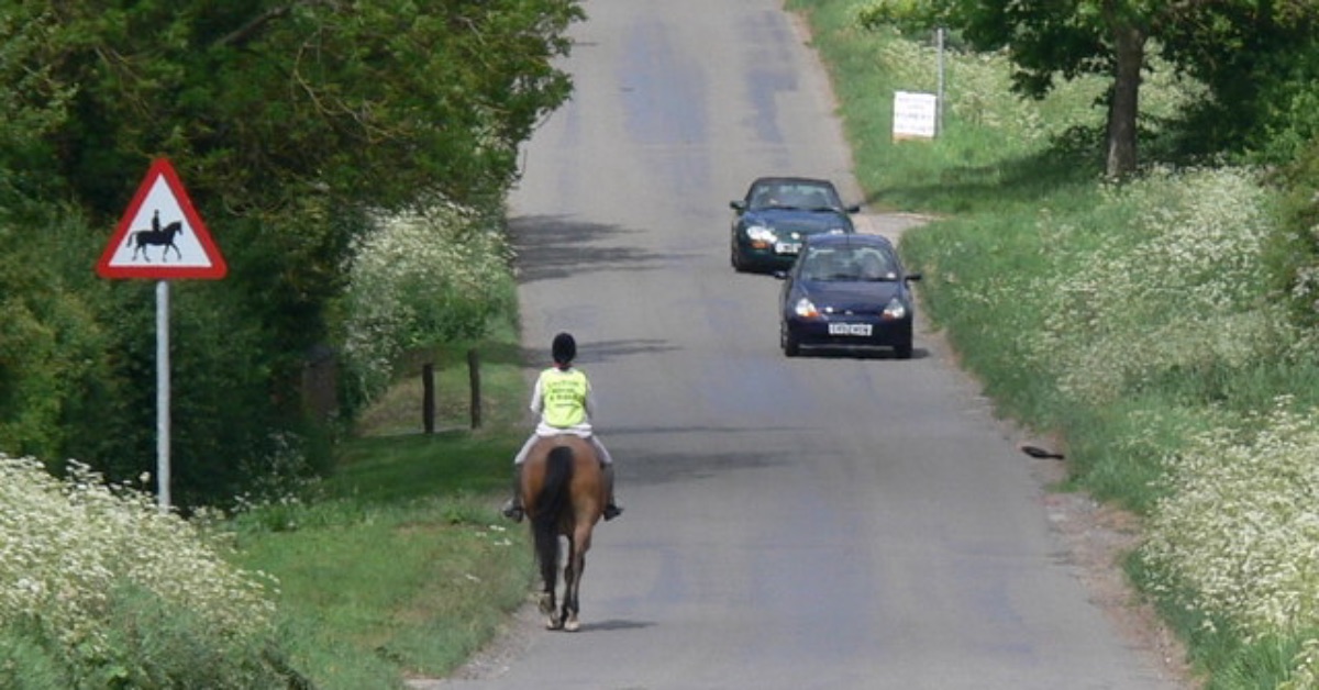 A horse rider on a road. Picture: Mat Fascione.