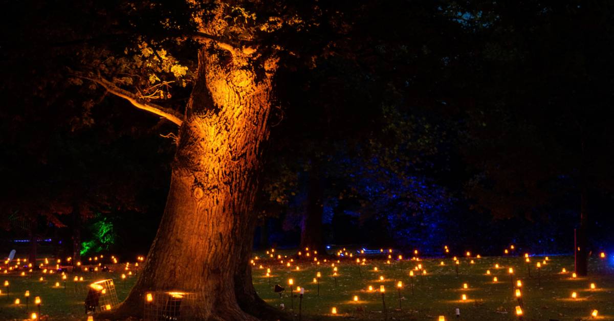 Harrogate’s Valley Gardens to host spectacular fire and light show