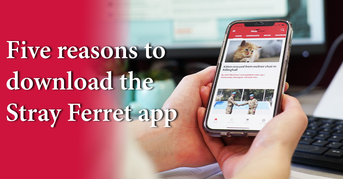 Five reasons why you should download the Stray Ferret app
