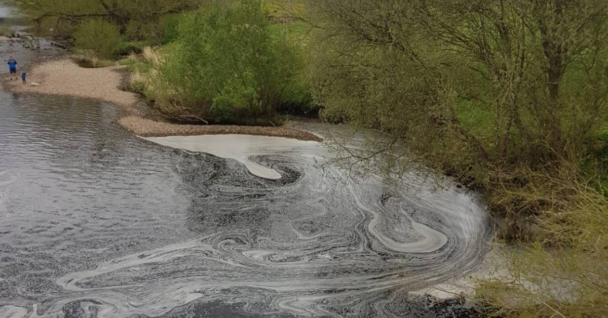 Pollution on the River Ure
