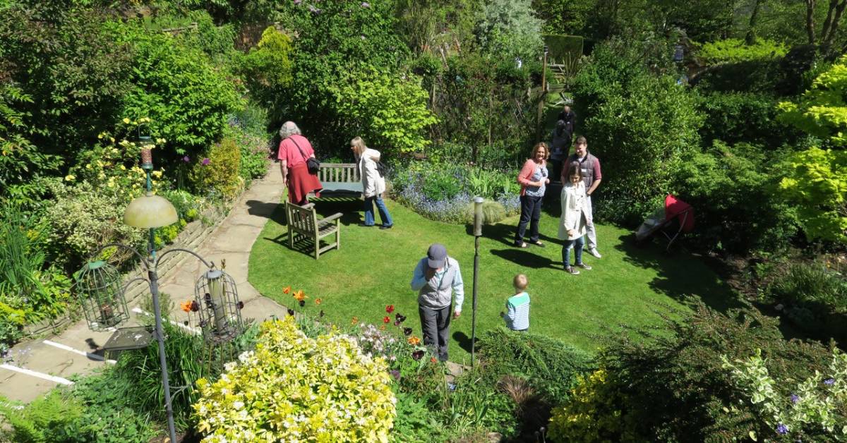 Harrogate residents offer a peek inside their quirky gardens