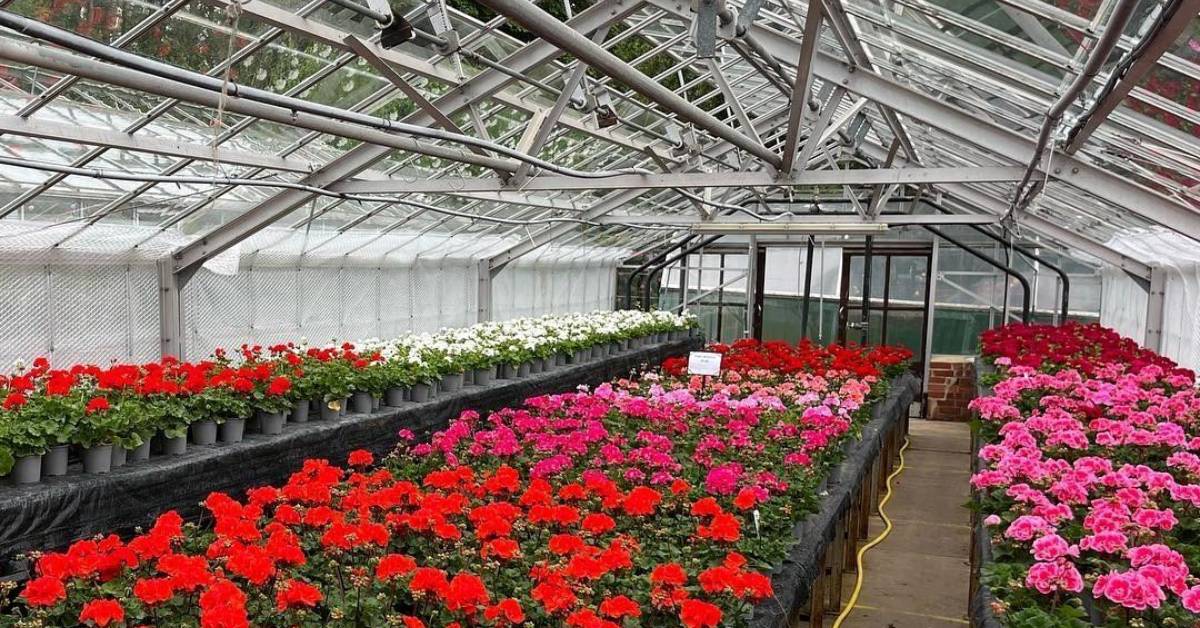 Plans for new plant nursery in Harrogate progress – but council refuses to reveal location