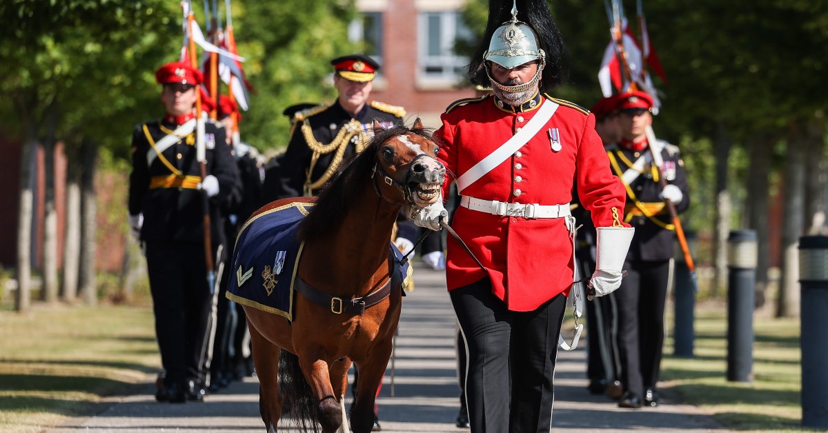 The mascot of the Queen’s Dragoon Guards with his handler, walk down Sir Tom Moore Walk at the Army Foundation College Harrogate as the graduation parade begins.