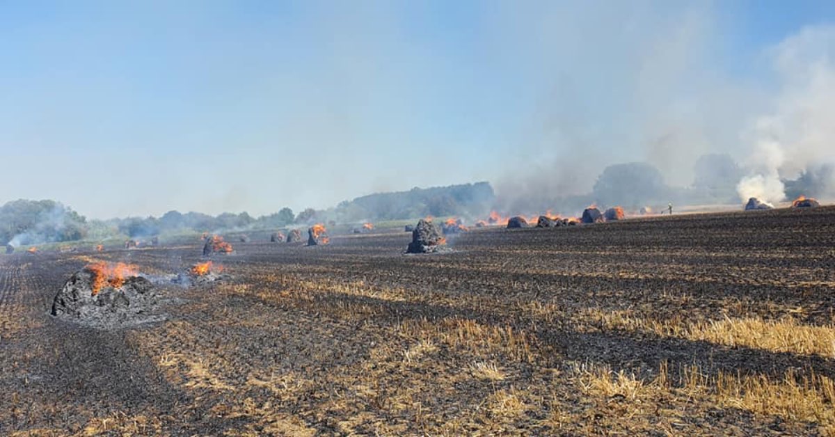 Firefighters tackle field fire in Aldborough