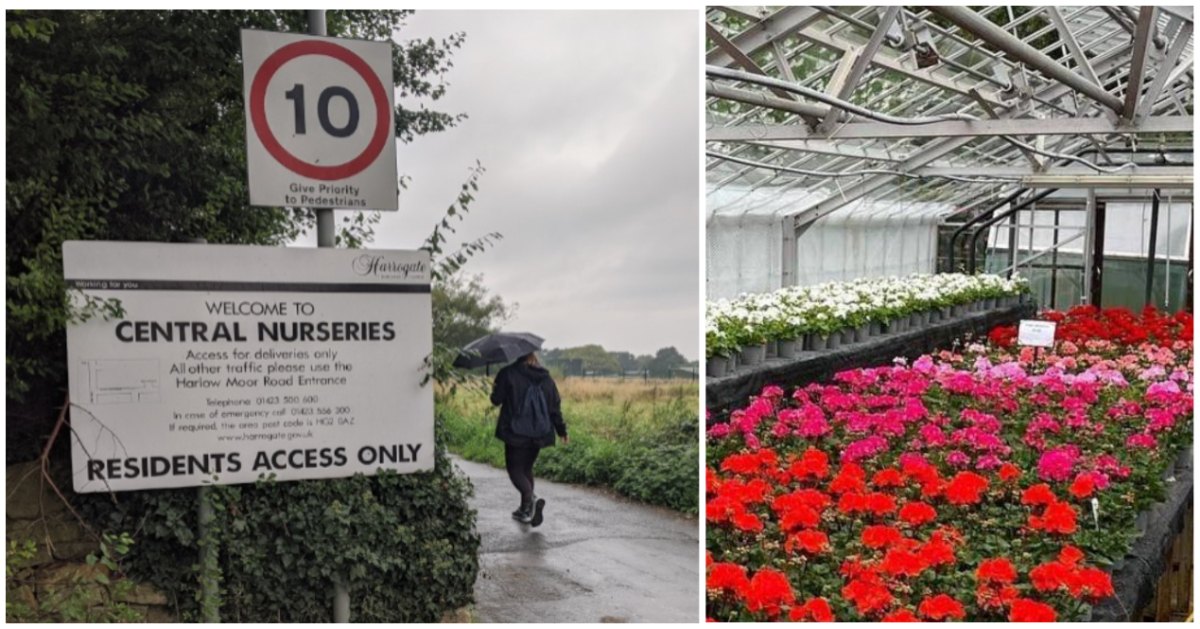 Is council horticultural nursery to stay at Harlow Hill after all?