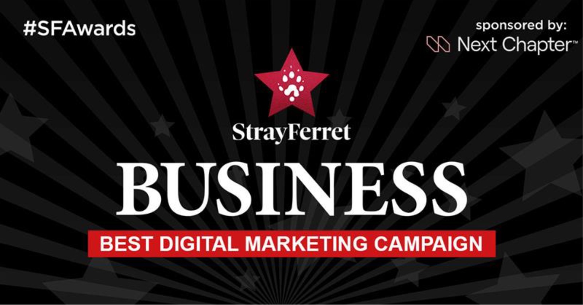 Stray Ferret Business Awards: Does your business deserve the Best Digital Marketing Campaign Award?