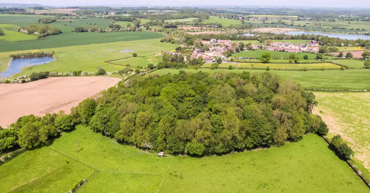 The northern section of Thornborough Henge, which is being marketed by Knight Frank.