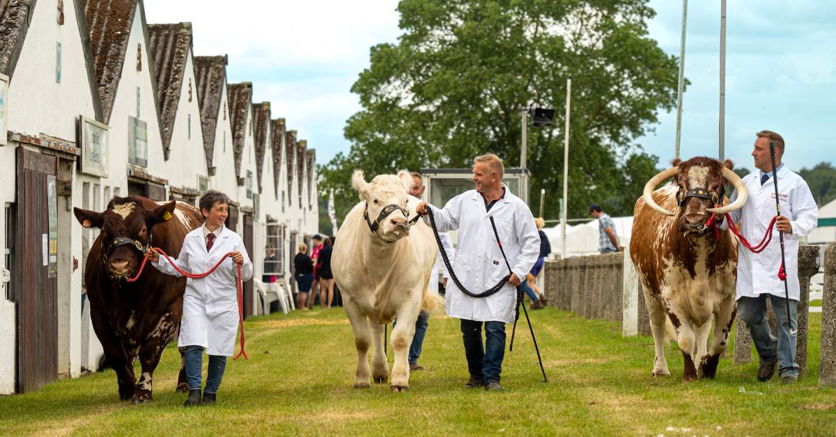 Tickets for 2024 Great Yorkshire Show set to go on sale