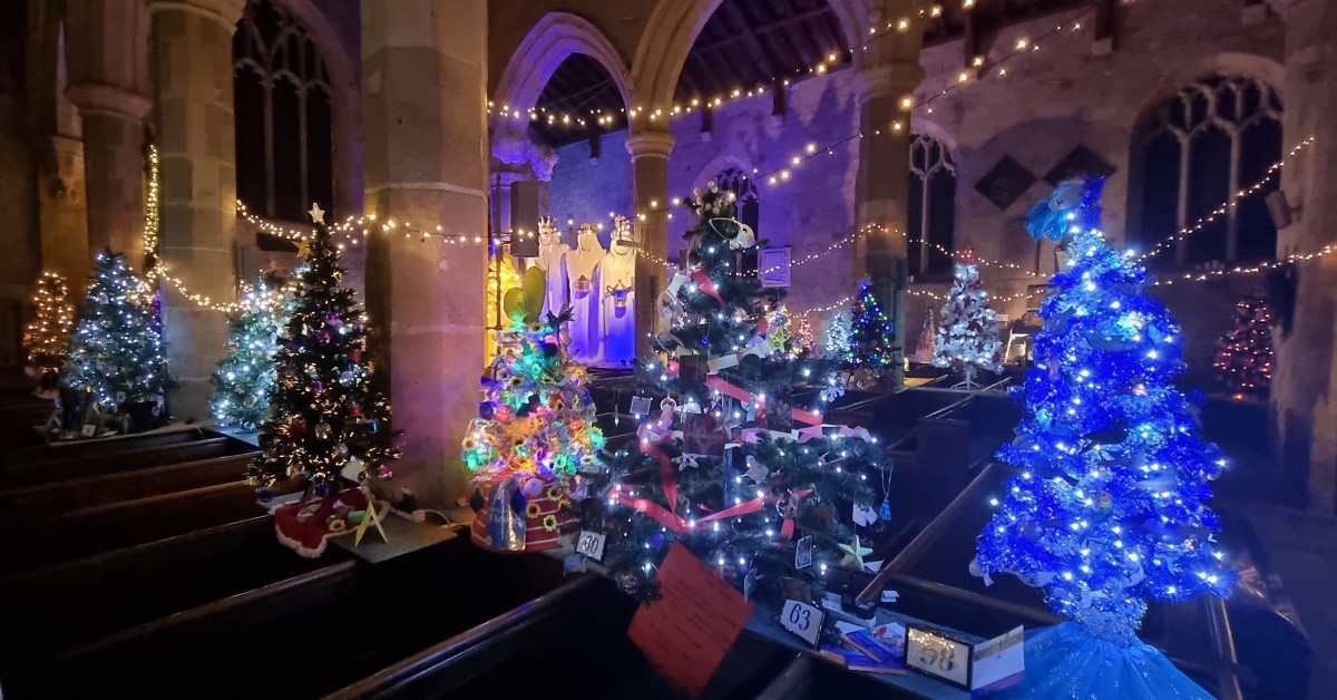 Photo of Christmas trees in the aisles of St John's Church in Knaresborough, at the Knaresborough Christmas Tree Festival in 2022.