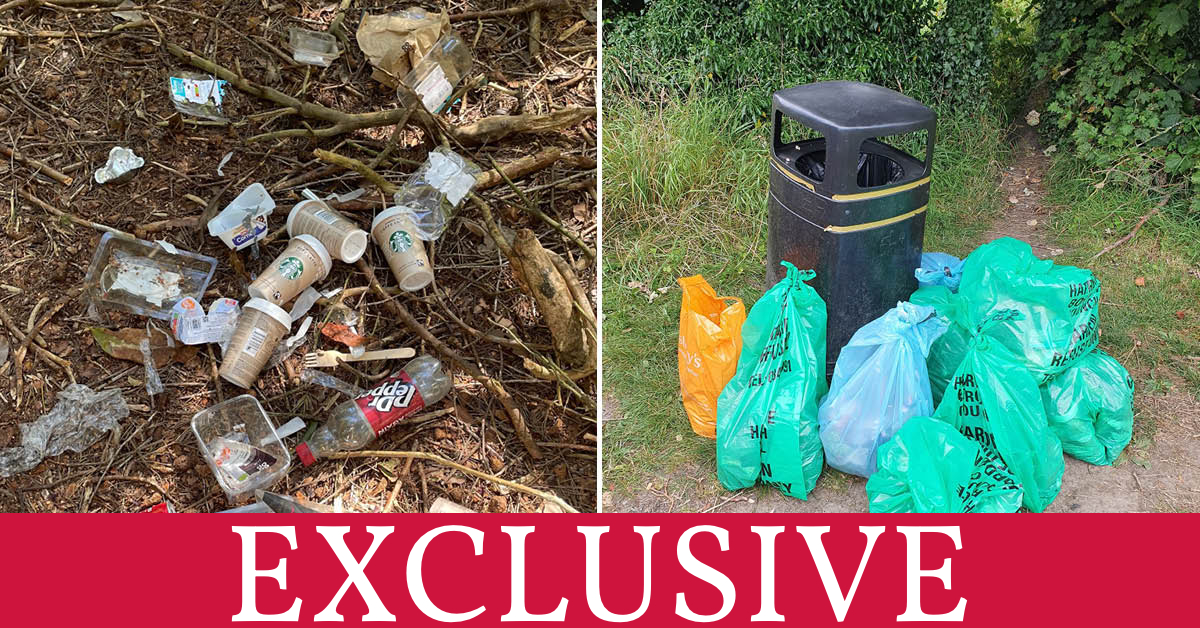 EXCLUSIVE: Stray Ferret reveals not a single litter fine in Harrogate district for past three years