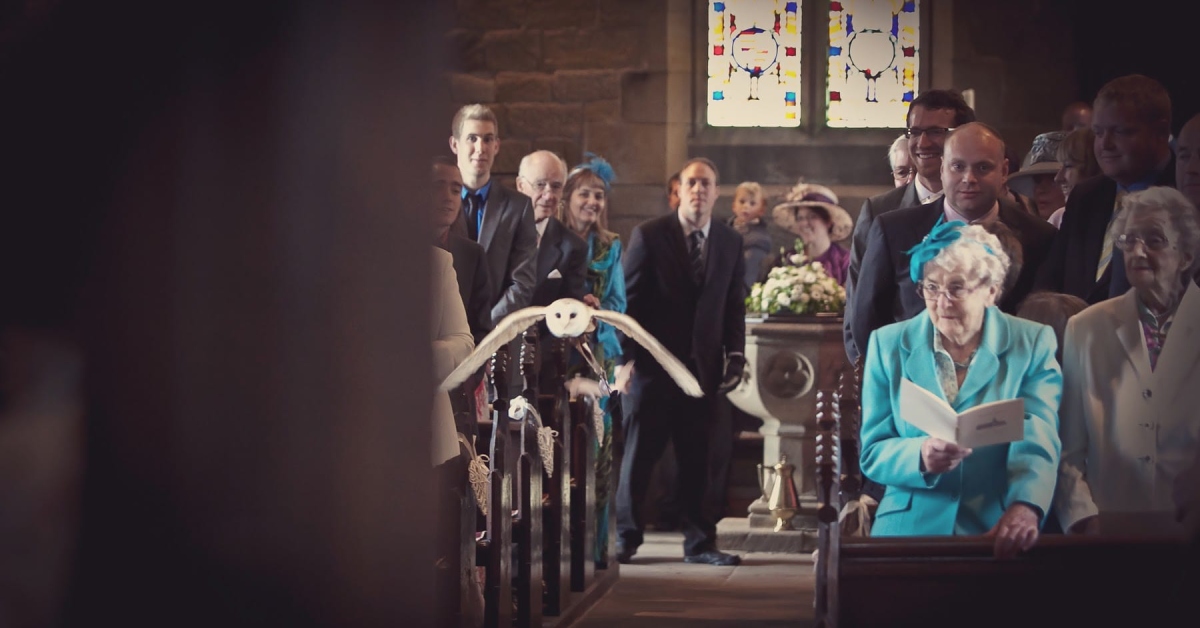 Photo of a barn owl flying silently down the aisle as guests look on at a small church wedding.